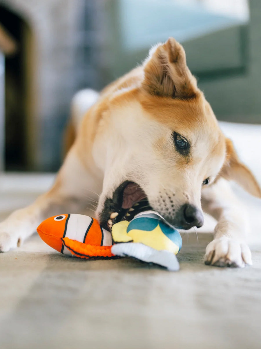 Pet-play-jouet-peluche-chien-Ocean-Buddies-corail