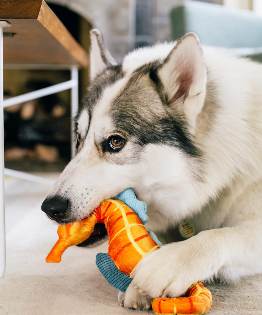 Pet-play-jouet-peluche-chien-Ocean-Buddies-hippocampe