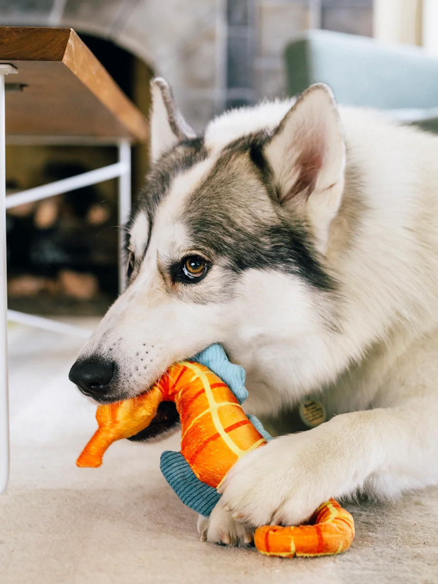 Pet-play-jouet-peluche-chien-Ocean-Buddies-hippocampe