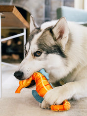 Pet-play-jouet-peluche-chien-Ocean-Buddies-hippocampe