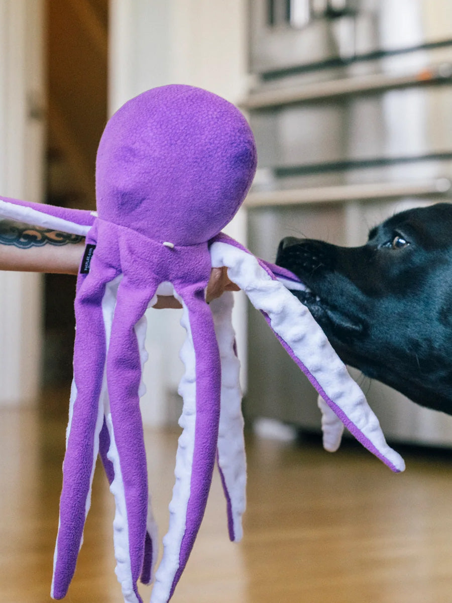 Pet-play-jouet-peluche-chien-Ocean-Buddies-pieuvre