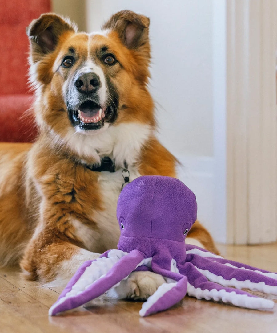 Pet-play-jouet-peluche-chien-Ocean-Buddies-pieuvre