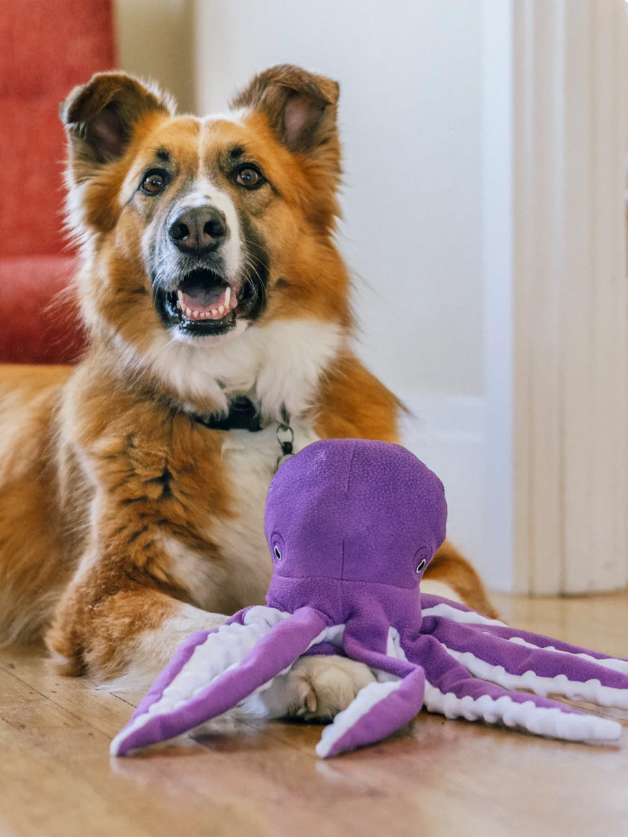Pet-play-jouet-peluche-chien-Ocean-Buddies-pieuvre
