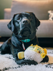 Pet-play-jouet-peluche-chien-Ocean-Buddies-poisson-globe