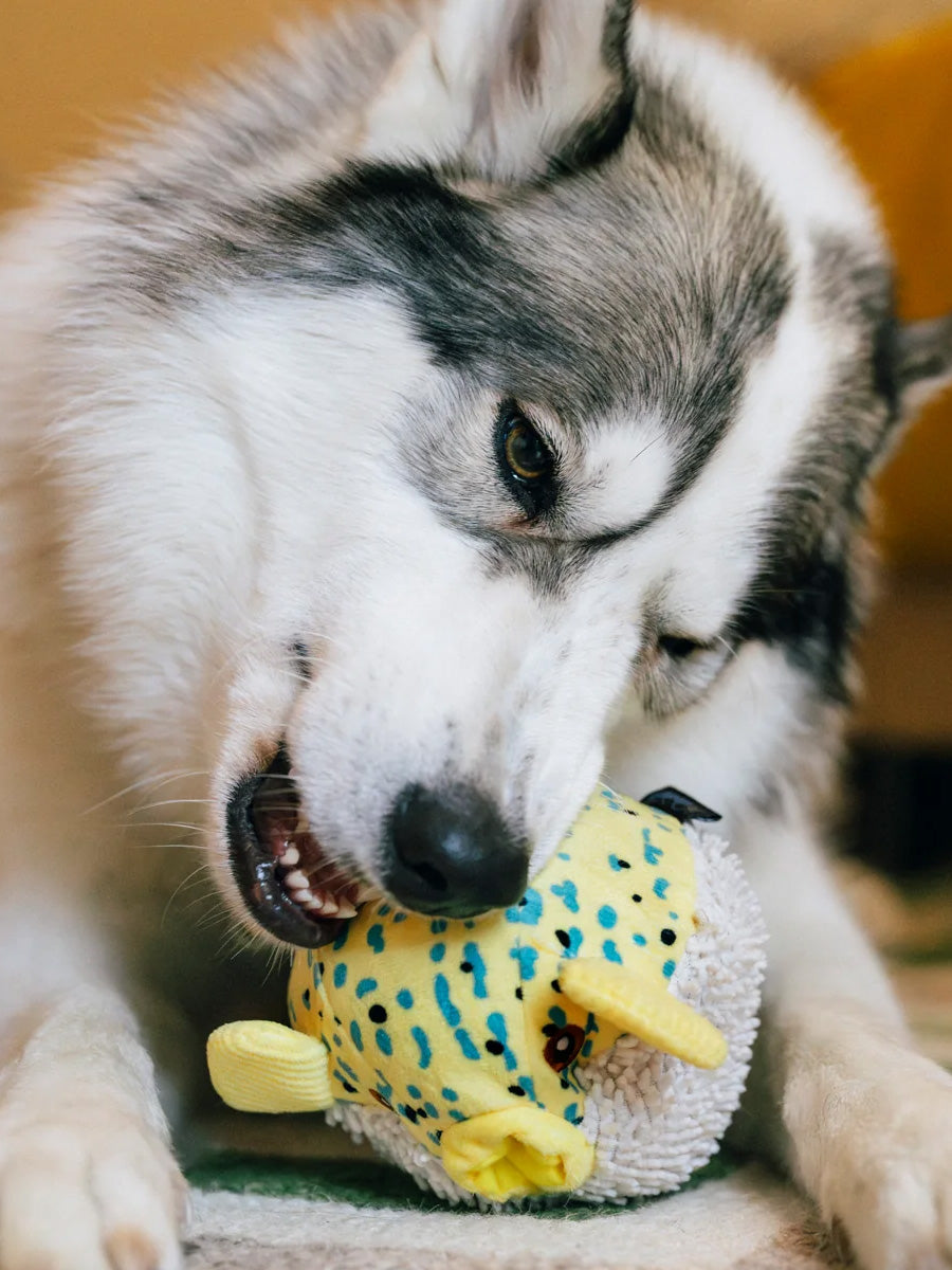 Pet-play-jouet-peluche-chien-Ocean-Buddies-poisson-globe
