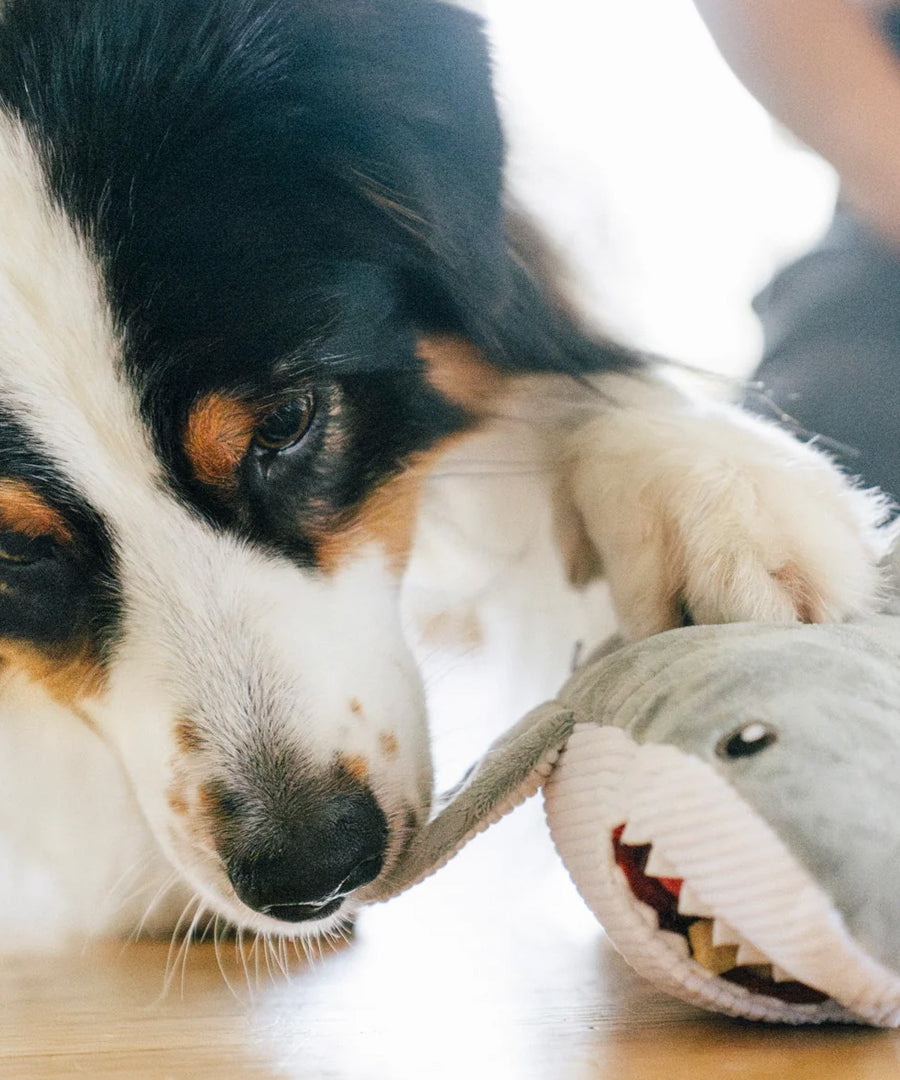 Pet-play-jouet-peluche-chien-Ocean-Buddies-requin