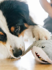 Pet-play-jouet-peluche-chien-Ocean-Buddies-requin