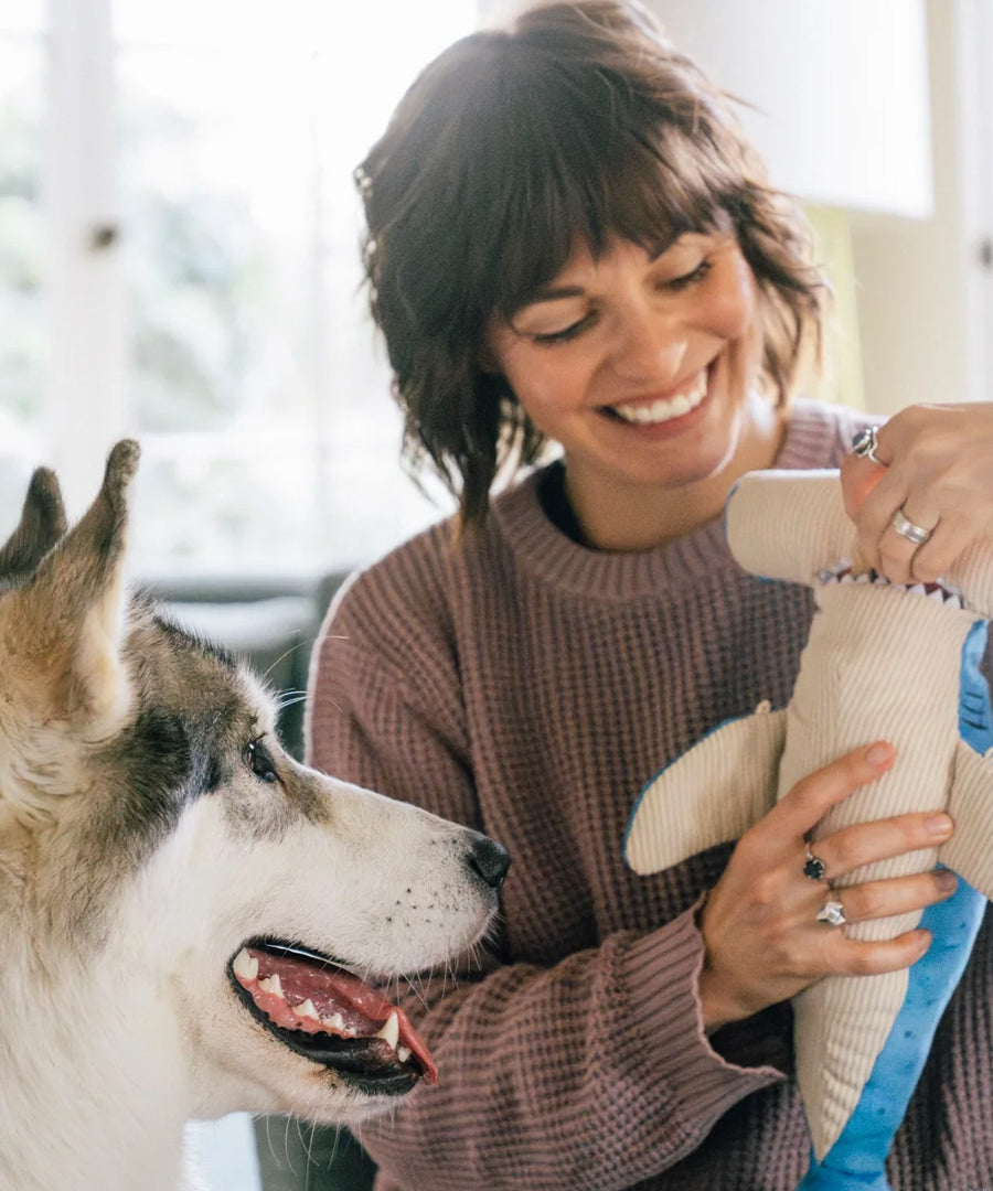 Pet-play-jouet-peluche-chien-Ocean-Buddies-requin-marteau