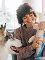 Pet-play-jouet-peluche-chien-Ocean-Buddies-requin-marteau