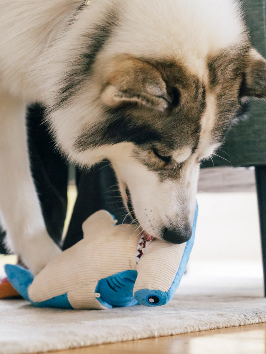 Pet-play-jouet-peluche-chien-Ocean-Buddies-requin-marteau