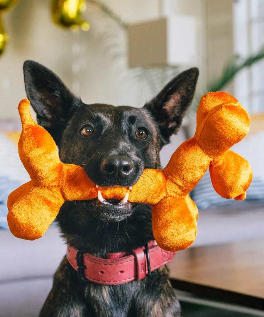 Pet-play-jouet-peluche-chien-Party-Animals-balon-chien-anniversaire