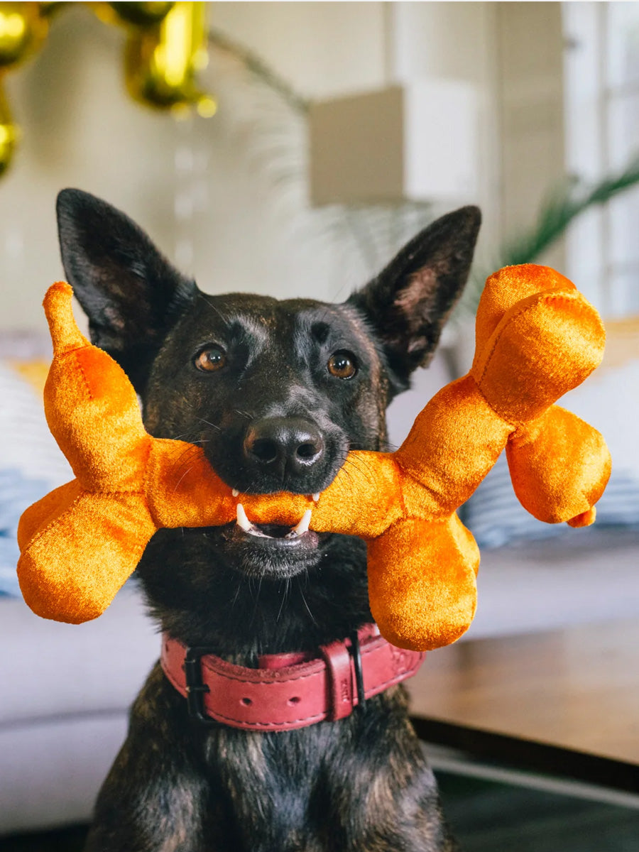 Pet-play-jouet-peluche-chien-Party-Animals-balon-chien-anniversaire