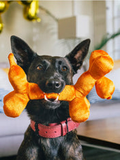 Pet-play-jouet-peluche-chien-Party-Animals-balon-chien-anniversaire