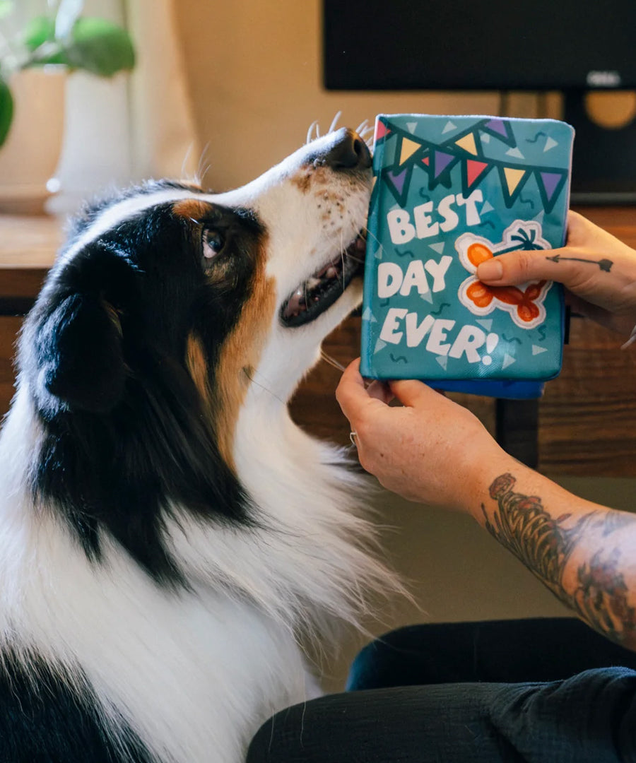 Pet-play-jouet-peluche-chien-Party-Animals-carte-voeux-anniversaire