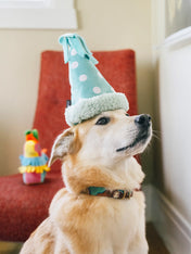 Pet-play-jouet-peluche-chien-Party-Animals-chapeau-anniversaire