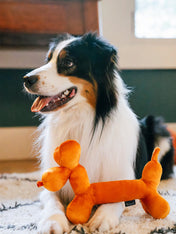 Pet-play-jouet-peluche-chien-Party-Animals-balon-chien-anniversaire