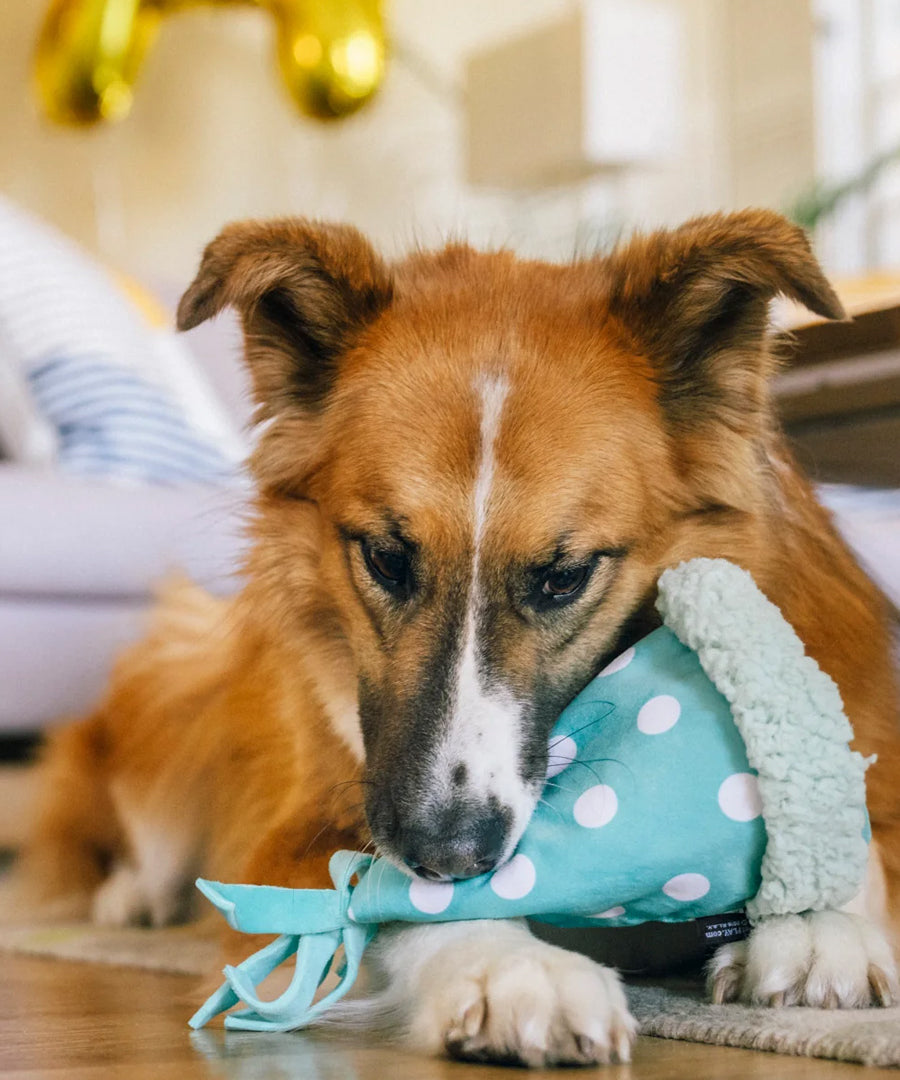 Pet-play-jouet-peluche-chien-Party-Animals-chapeau-anniversaire