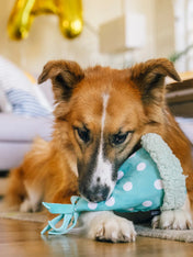 Pet-play-jouet-peluche-chien-Party-Animals-chapeau-anniversaire