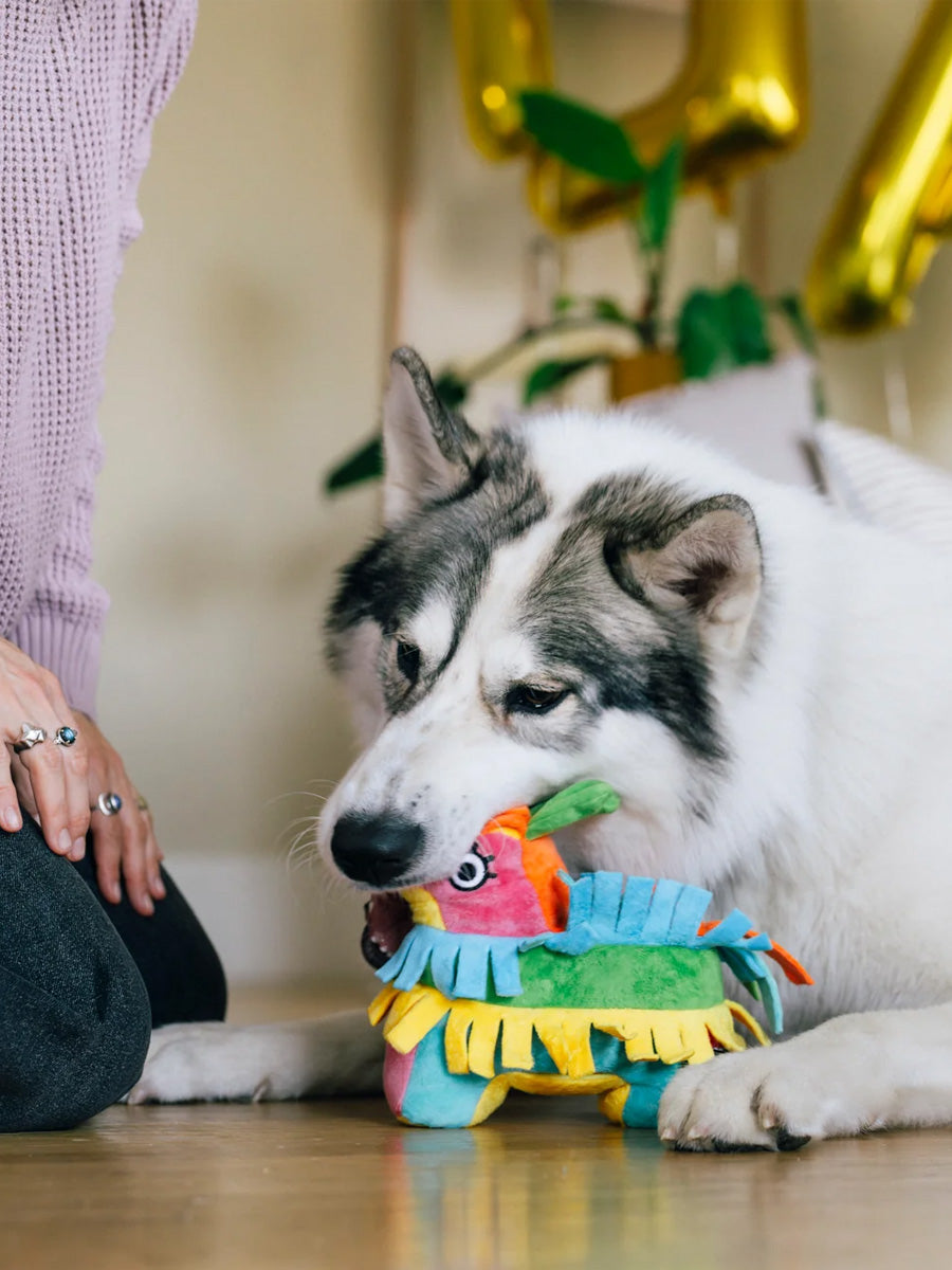 Pet-play-jouet-peluche-chien-Party-Animals-pinata-anniversaire