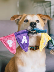 Pet-play-jouet-peluche-chien-Party-Animals-decoration-corde-anniversaire