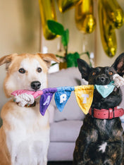 Pet-play-jouet-peluche-chien-Party-Animals-decoration-corde-anniversaire