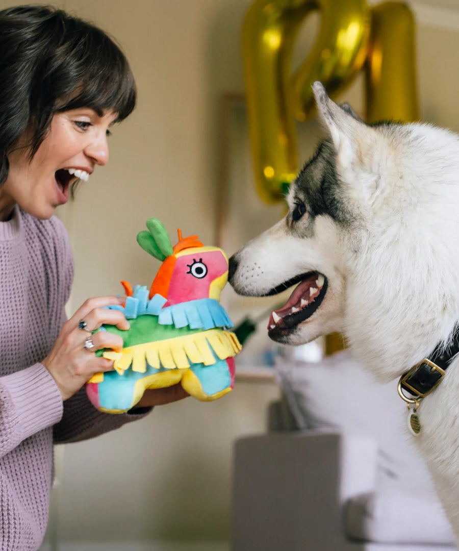 Pet-play-jouet-peluche-chien-Party-Animals-pinata-anniversaire