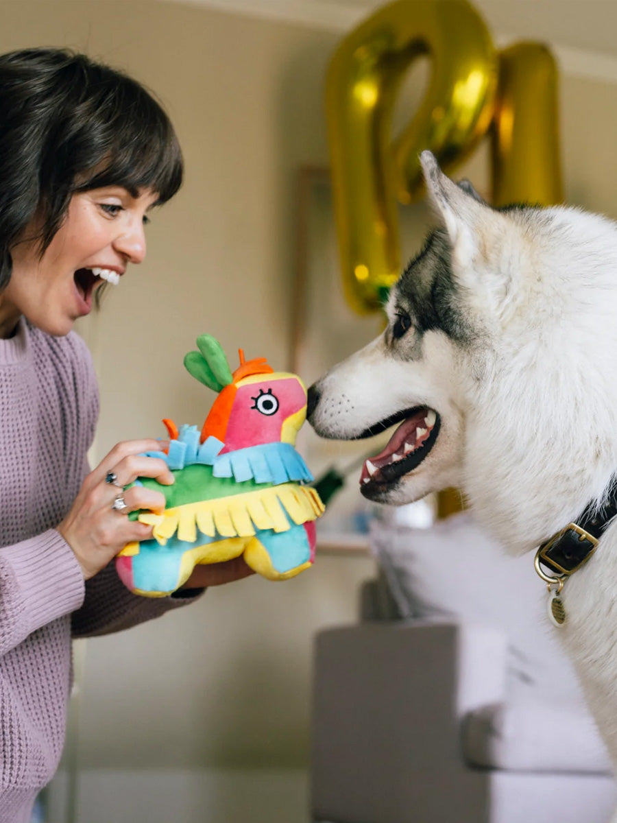Pet-play-jouet-peluche-chien-Party-Animals-pinata-anniversaire