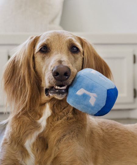 Pet-play-jouet-peluche-chien-Paw-nukkah-Dreidel