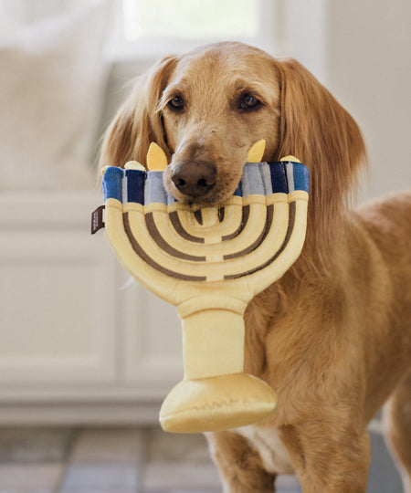 Pet-play-jouet-peluche-chien-Paw-nukkah-Menorah