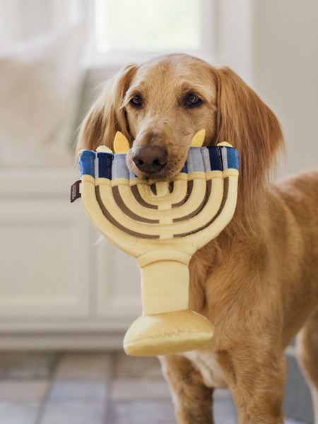 Pet-play-jouet-peluche-chien-Paw-nukkah-Menorah