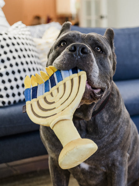 Pet-play-jouet-peluche-chien-Paw-nukkah-Menorah