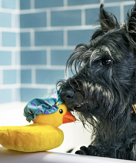       Pet-play-jouet-peluche-chien-SplishSplash-Bubbles-the-Duck