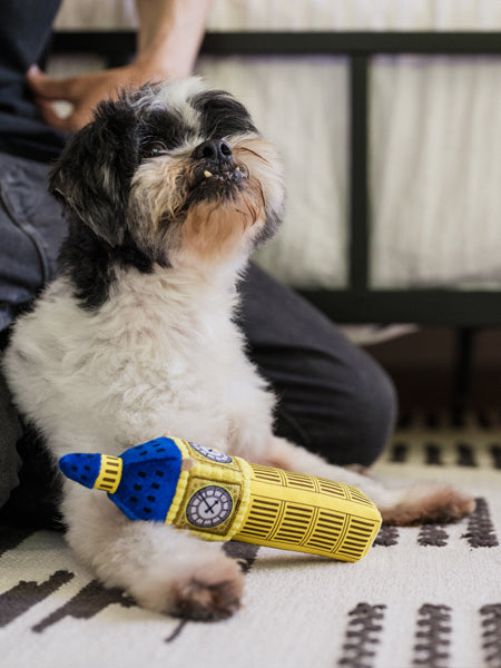 Pet-play-jouet-peluche-chien-Totally-Touristy-big-ben