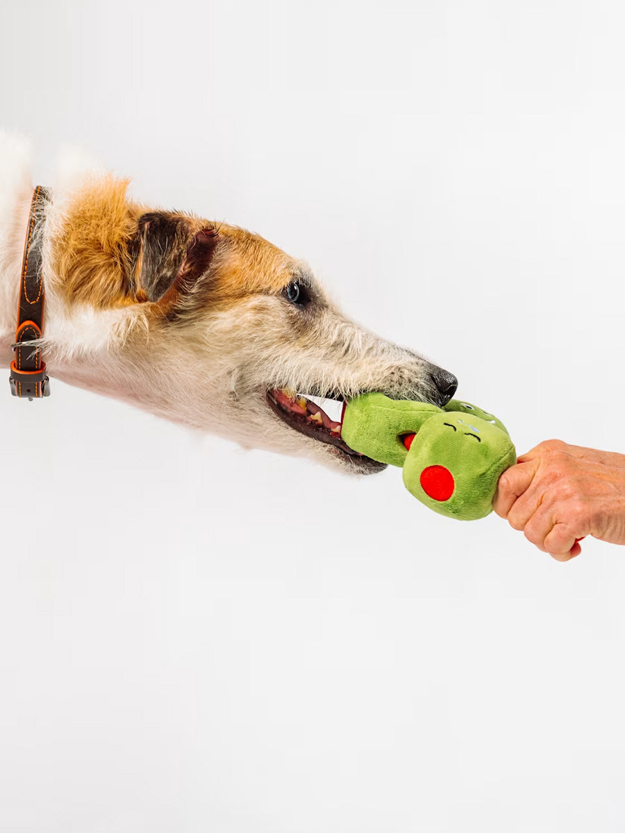 Pet-play-jouet-peluche-chien-Wine-Bar-olives