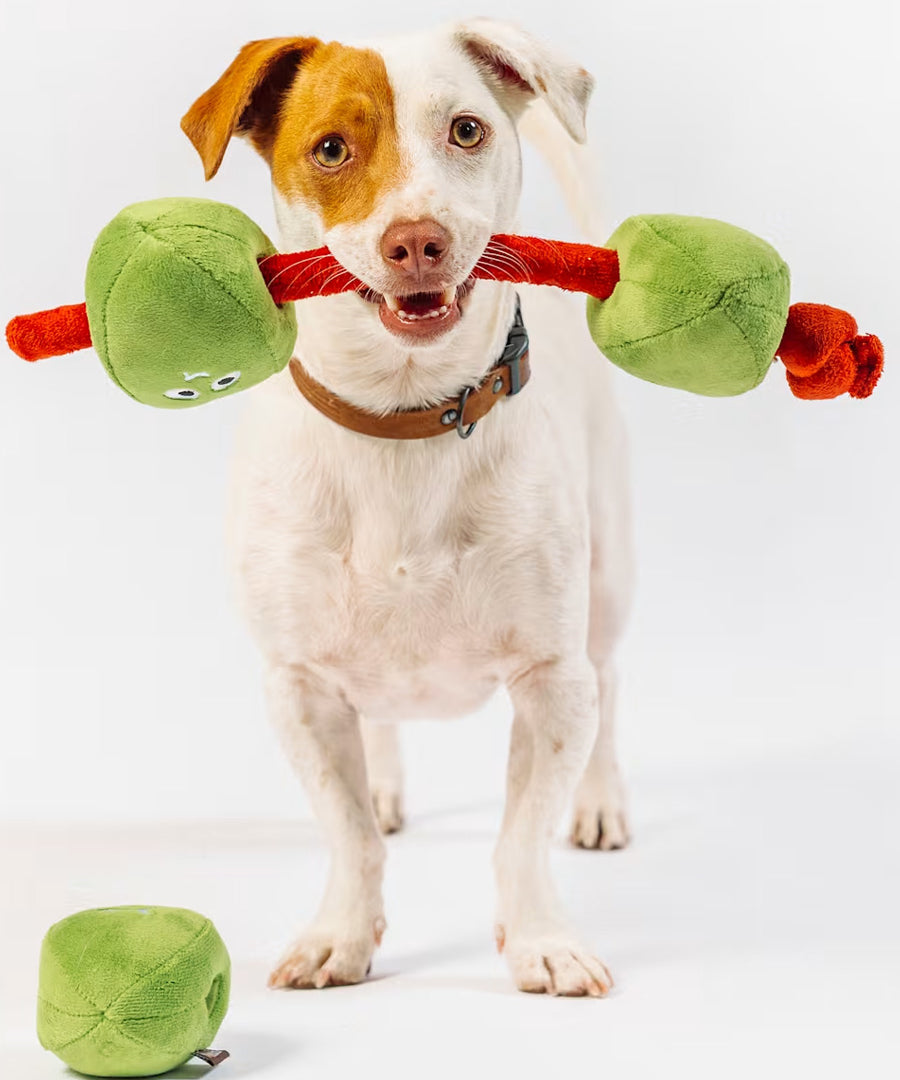 Pet-play-jouet-peluche-chien-Wine-Bar-olives