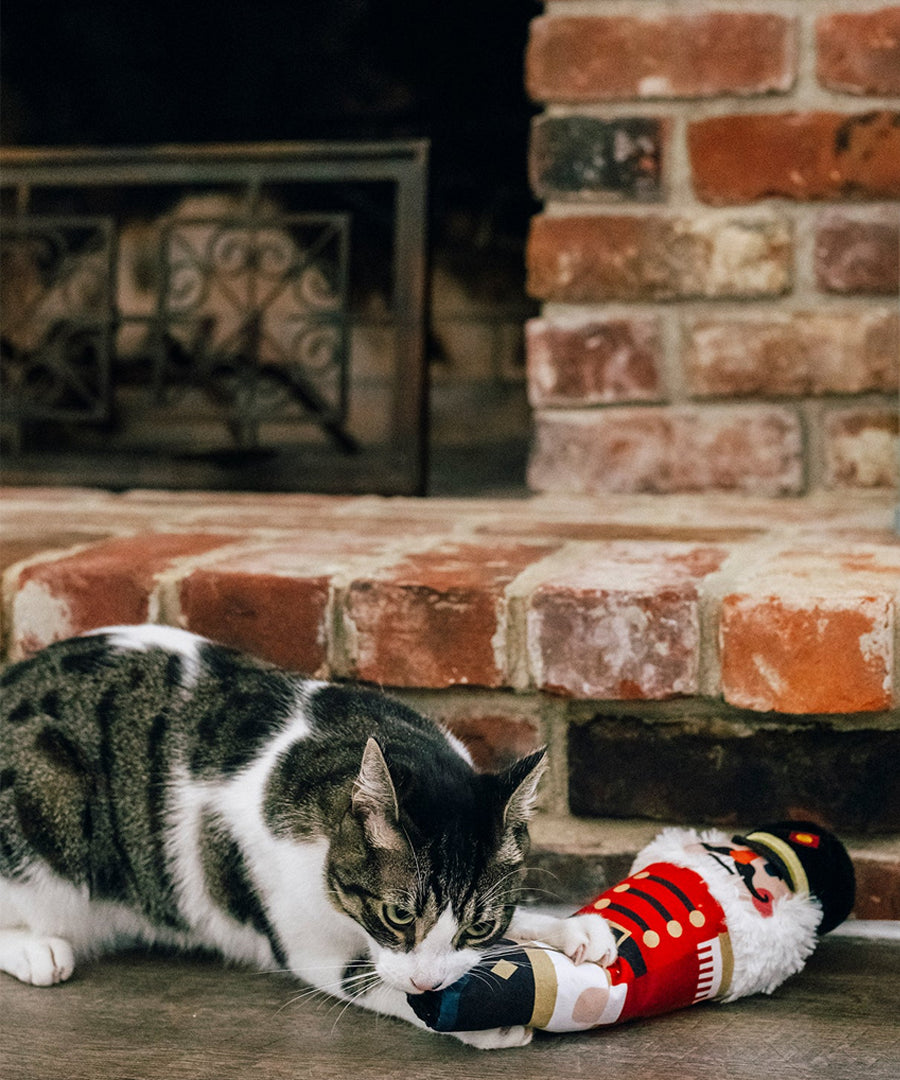 Pet-play-jouet-pour-chat-herbe-a-chat-kicker-noel-casse-noisette