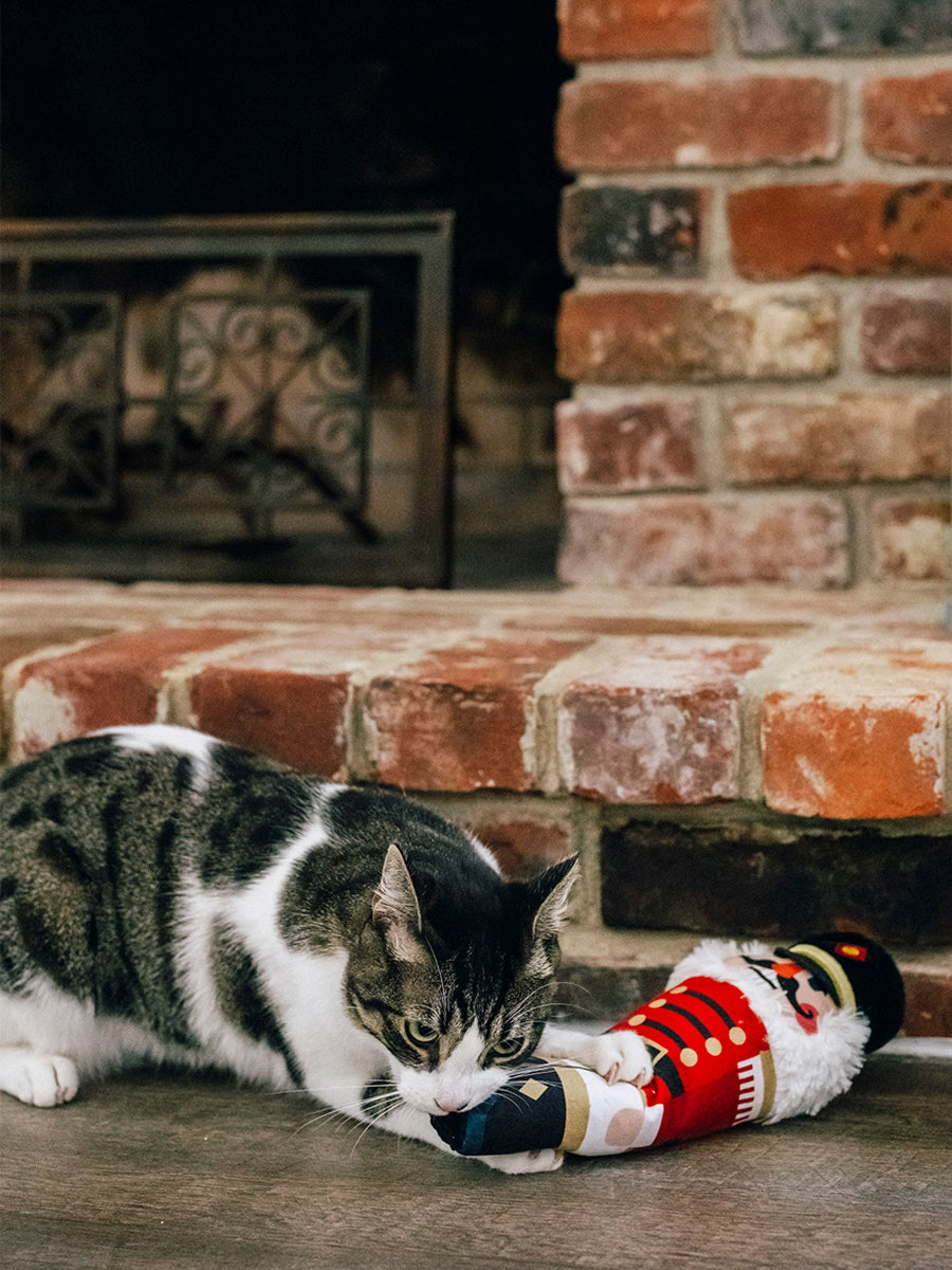 Pet-play-jouet-pour-chat-herbe-a-chat-kicker-noel-casse-noisette