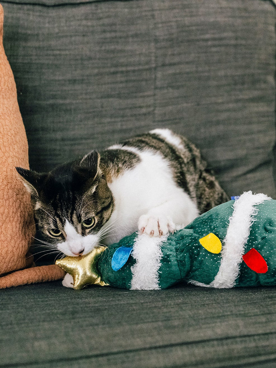 Pet-play-jouet-pour-chat-herbe-a-chat-kicker-noel-sapin