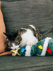 Pet-play-jouet-pour-chat-herbe-a-chat-kicker-noel-sapin