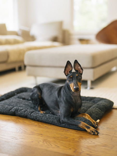 Pet-play-tapis-couchage-pour-chien-Chill-Pad-Canyon-Series-noir