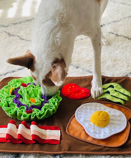 Pet-play-tapis-de-fouille-pour-chien-brunch