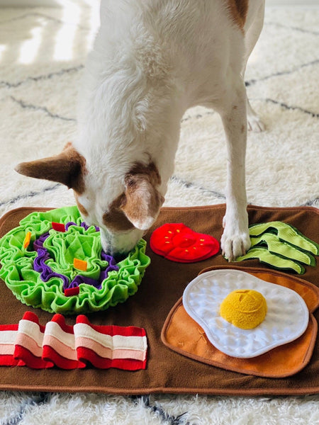 Pet-play-tapis-de-fouille-pour-chien-brunch