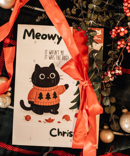 Pets-best-calendrier-de-l-avent-pour-chat-noel-friandises-premium-2025