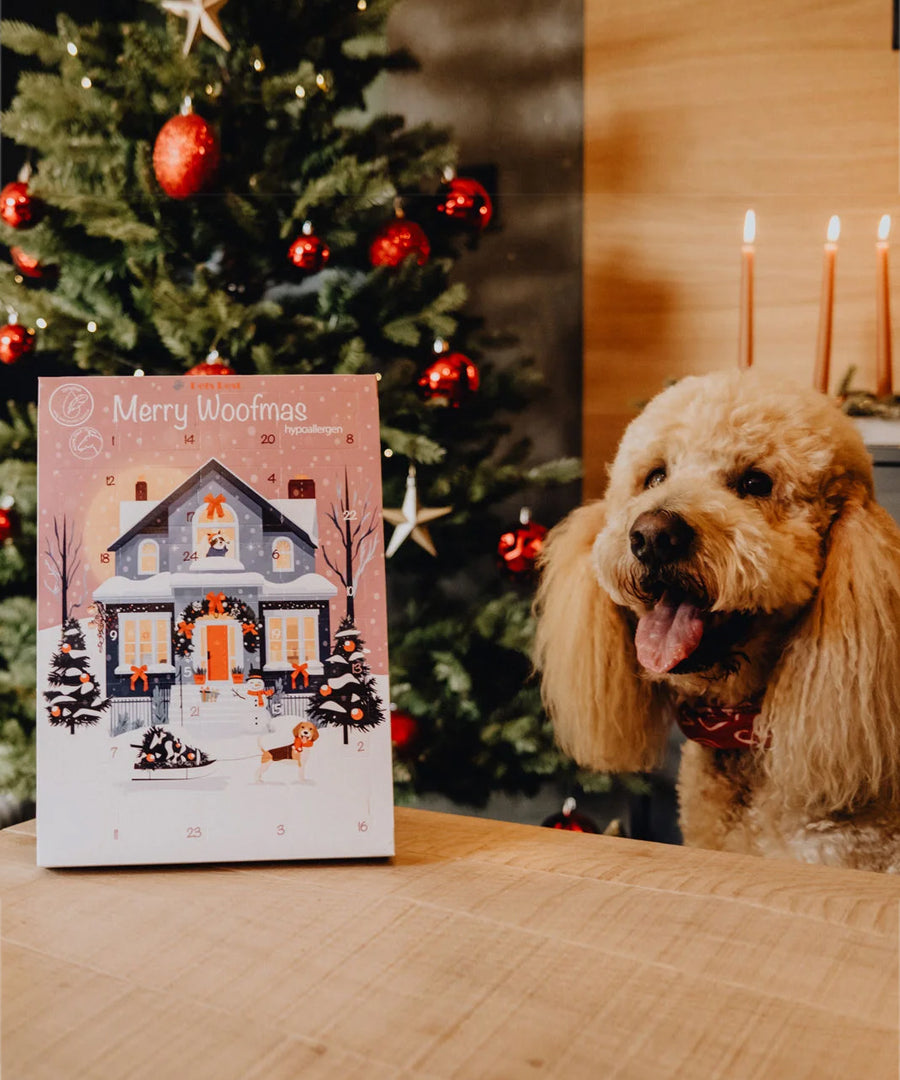 Pets-best-calendrier-de-l-avent-pour-chien-noel-friandises-hypoallergenique-premium-2026