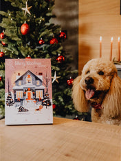 Pets-best-calendrier-de-l-avent-pour-chien-noel-friandises-hypoallergenique-premium-2026