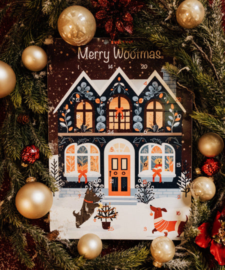 Pets-best-calendrier-de-l-avent-pour-chien-noel-friandises-premium-2025