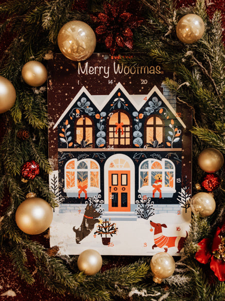 Pets-best-calendrier-de-l-avent-pour-chien-noel-friandises-premium-2025