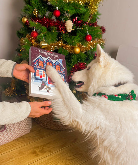 Pets-best-calendrier-de-l-avent-pour-chien-noel-friandises-premium-2025