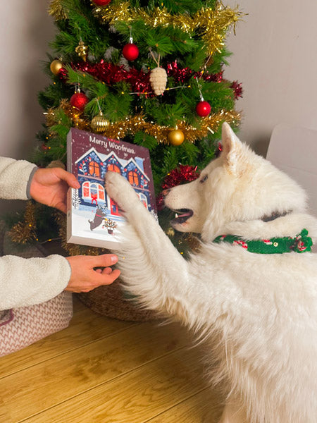 Pets-best-calendrier-de-l-avent-pour-chien-noel-friandises-premium-2025