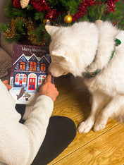 Pets-best-calendrier-de-l-avent-pour-chien-noel-friandises-premium-2025